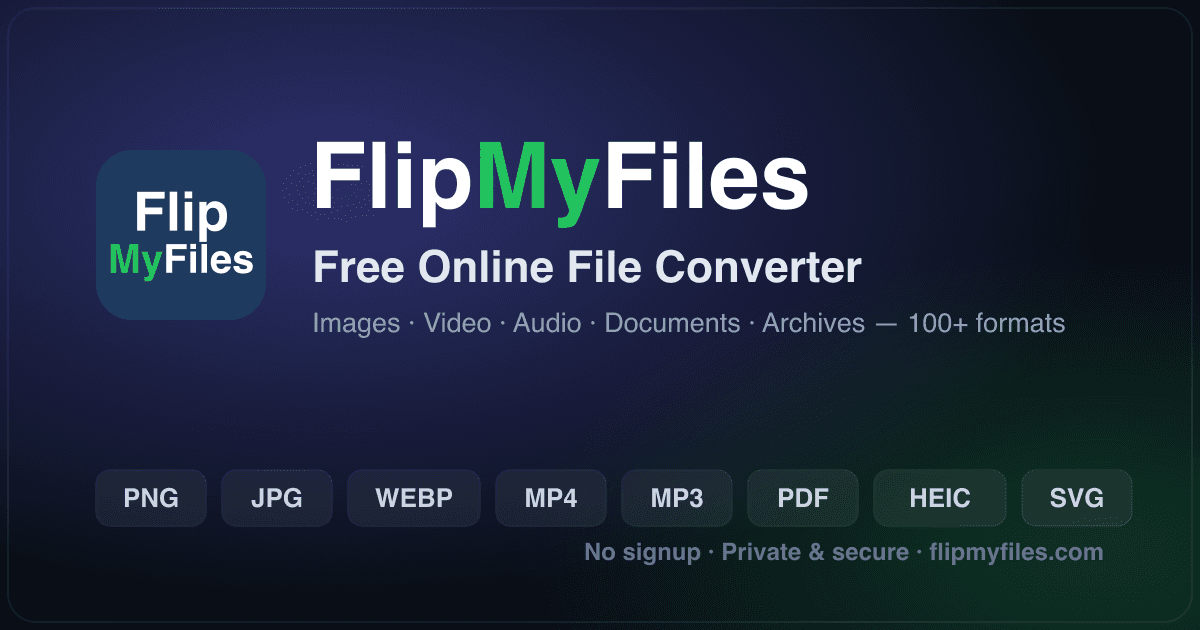 Comparison of JPG, PNG, WebP, AVIF, and SVG image formats for the web.